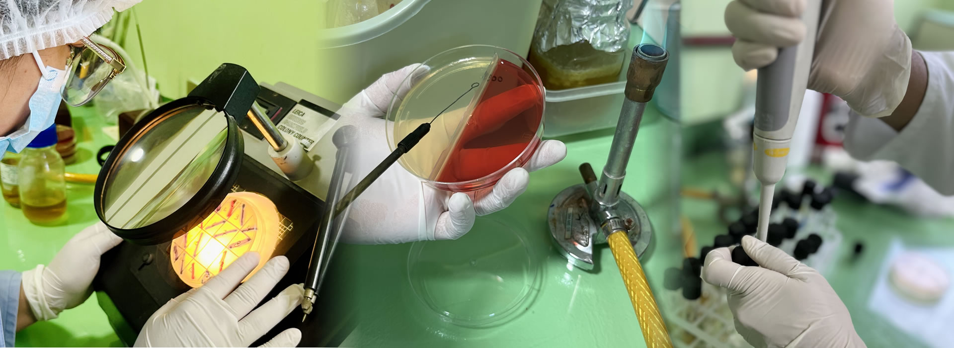 Laboratorio SIM - Servicio Industrial Microbiológico
